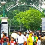 Guide to Alipore Zoo and Kolkata Zoo Ticket Prices and Timings