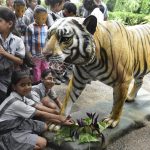 Your Ultimate Guide to Delhi Zoo Ticket Price and Online Booking