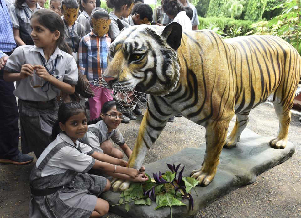 Your Ultimate Guide to Delhi Zoo Ticket Price and Online Booking